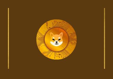 Shiba Inu and Tradecurve Affordable Tokens with Potential